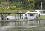 pesqueiros-itapevi-1353797284