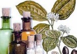 farmacias-de-homeopatia-itapevi-1374772675