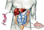 gastroenterologia-itapevi-1374773027