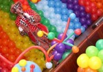 animacao-de-festa-itapevi-1353956098
