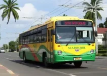 linhas intermunicipais