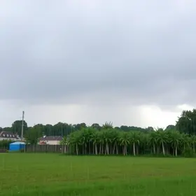 Pancadas fortes em Itapevi