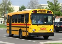 vistorias do transporte escolar