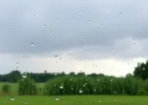 Itapevi chuva rápida