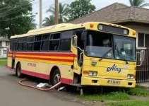 ônibus desgovernado