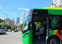 atendimento gratuito às mulheres