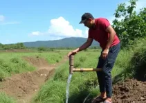 rede de abastecimento de água no Cururuquara