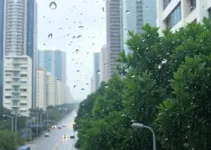 umidade em São Paulo