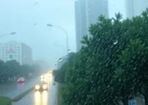 Alerta Amarelo de chuva em São Paulo