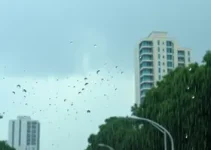 alerta amarelo de tempestade