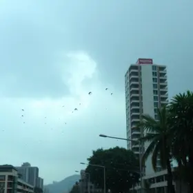 alerta amarelo