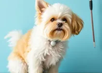 curso gratuito de Banho e Tosa de Pets
