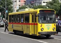 transporte gratuito