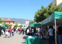Feira de Empregos Itapevi