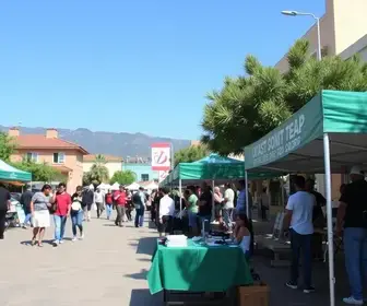 Feira de Empregos Itapevi